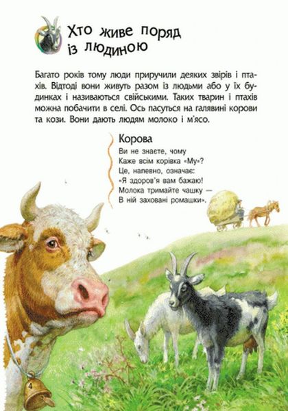 Детская энциклопедия про животных 614005 для дошкольников фото