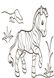 Дитяча водна розфарбування: Екзотичні тварини 734012, 8 сторінок фото 6 з 9