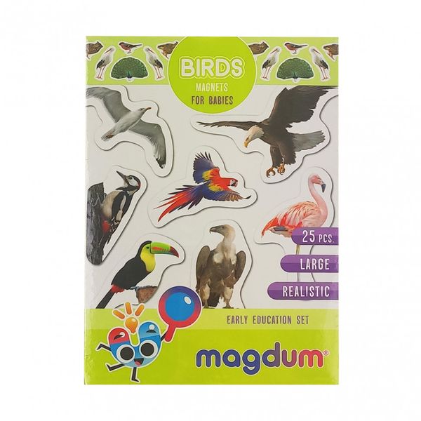 Набір магнітів Птахи Magdum ML4031-30 EN фото