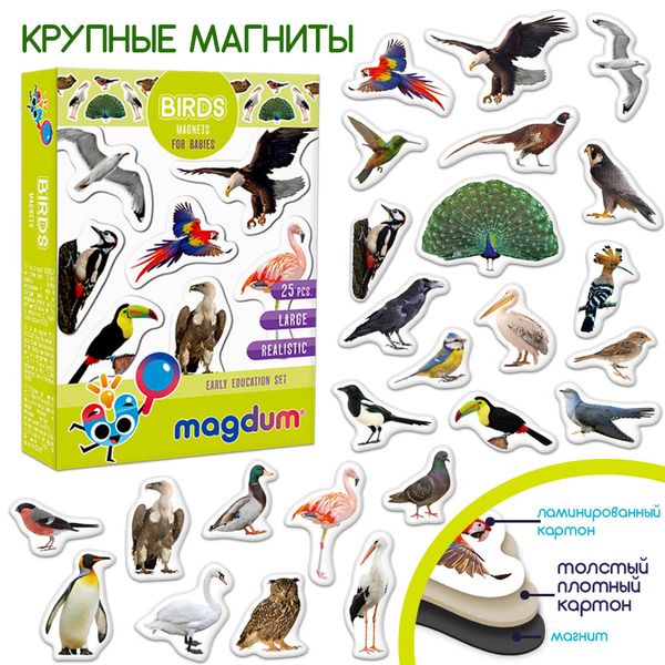 Набір магнітів Птахи Magdum ML4031-30 EN фото