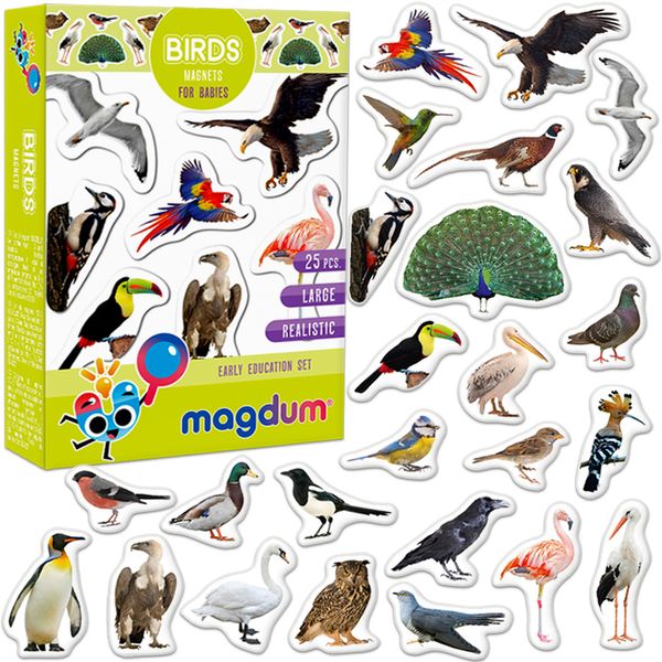 Набор магнитов Птицы Magdum ML4031-30 EN фото
