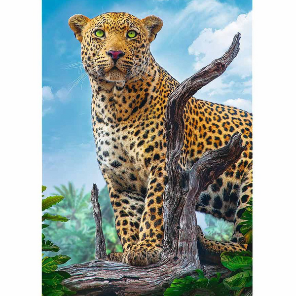 Пазлы "Дикий леопард" Trefl 37332T (500 эл.) фото