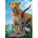 Пазлы "Дикий леопард" Trefl 37332T (500 эл.) фото 2 из 2