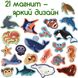 Набір магнітів Magdum "Морські тварини" ML4031-07 EN фото 5 з 5