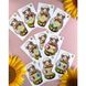 Дерев'яний пазл-сортер "Вівця на галявині" Ubumblebees (ПСФ096) PSF096, 20 карток фото 5 з 5
