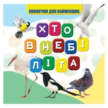 Моя перша книжечка Хто в небі літає VR06041708, 10 сторінок фото