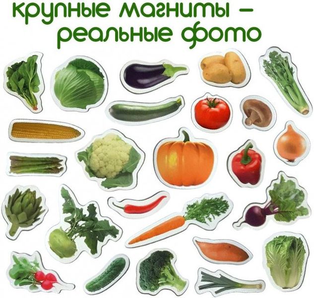 Набор магнитов Magdum "Овощи" ML4031-12 EN фото