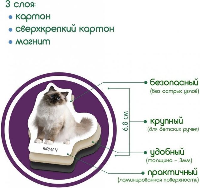 Набор магнитов Magdum "Породы кошек" ML4031-13 EN фото