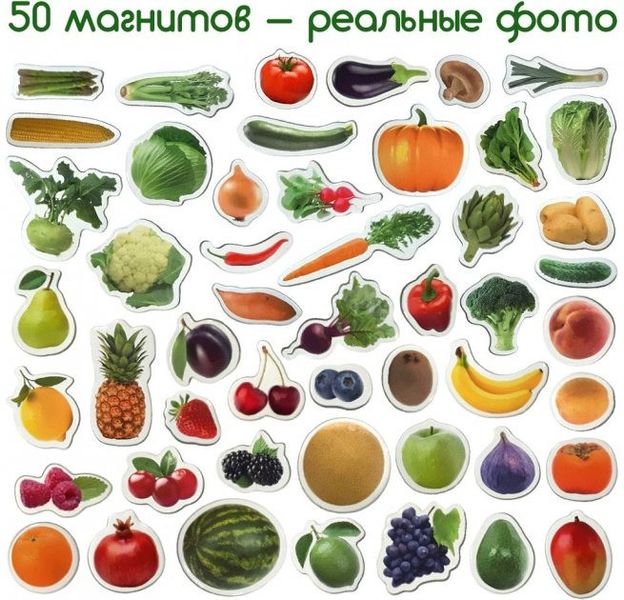 Набір магнітів Magdum "Фрукти і овочі" ML4031-15 EN фото