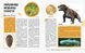 Дитяча книга "Мир та її секрети: динозаври" 740004 на UKR. мова фото 4 з 4