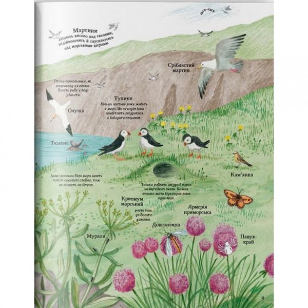 Детская большая иллюстрированная книга о природе Жорж 104010 фото