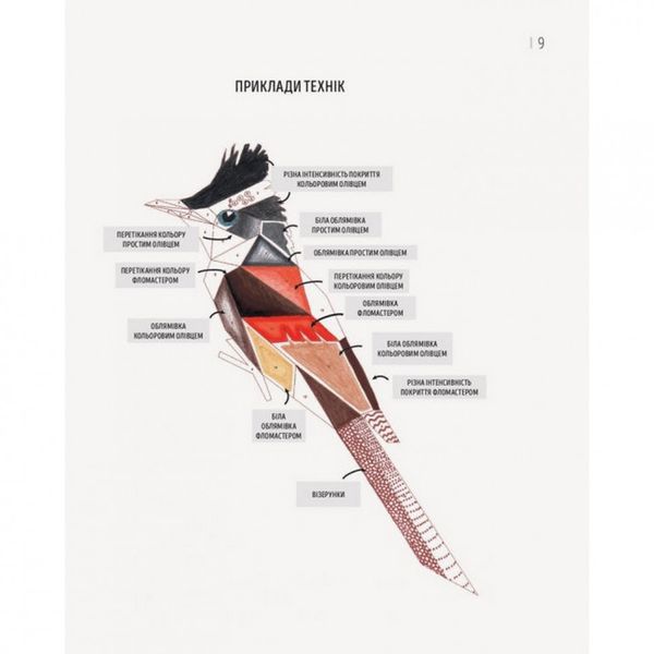 Книга-раскраска Зоометрия. Удивительные птицы Жорж 101048 фото
