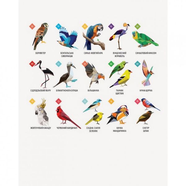 Книга-раскраска Зоометрия. Удивительные птицы Жорж 101048 фото