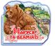 Дитяча книга "Maroussia and Bear" 332004 на українці. мова фото 1 з 4