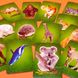 Карточная квест-игра Best Quest Животные, Danko Toys фото 5 из 5