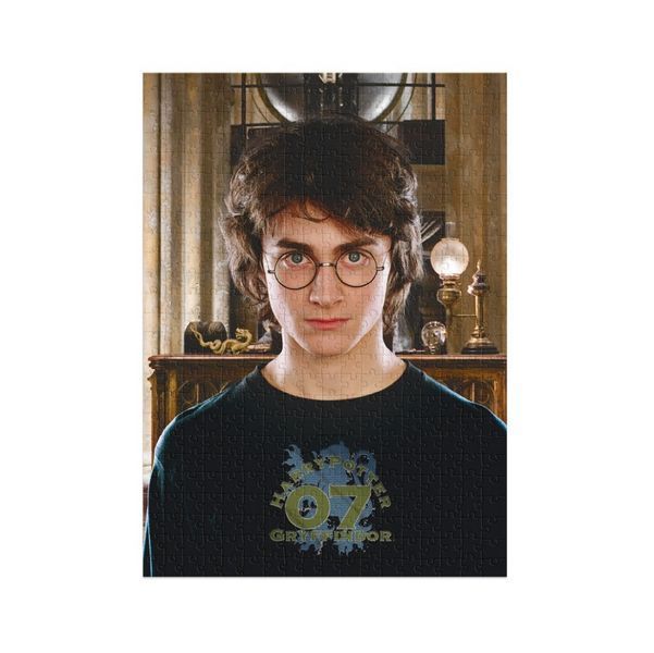 Пазл классический Hard-M "Harry Potter. Портрет Гарри" 200576, 450 элементов фото