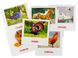 Карточки мини "Домашние животные" (110х110 мм) UA-ENG 65945 фото 3 из 3