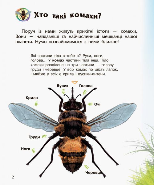 Детская энциклопедия про насекомых 614014 для дошкольников фото