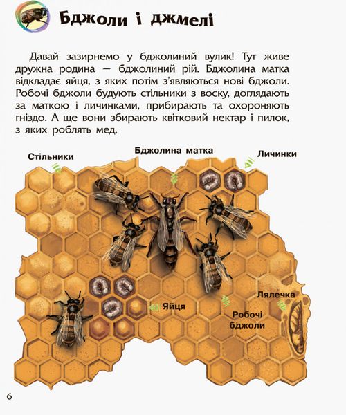 Детская энциклопедия про насекомых 614014 для дошкольников фото