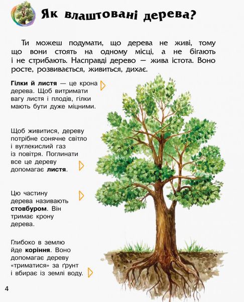 Детская энциклопедия про лес 614016 для дошкольников фото